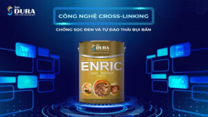 Sơn Dure và Bộ 3 chống loang màu hoàn hảo