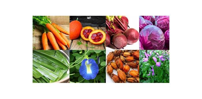 Chất tạo màu tự nhiên