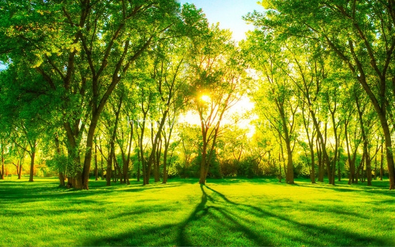 Những điều thú vị của màu sắc